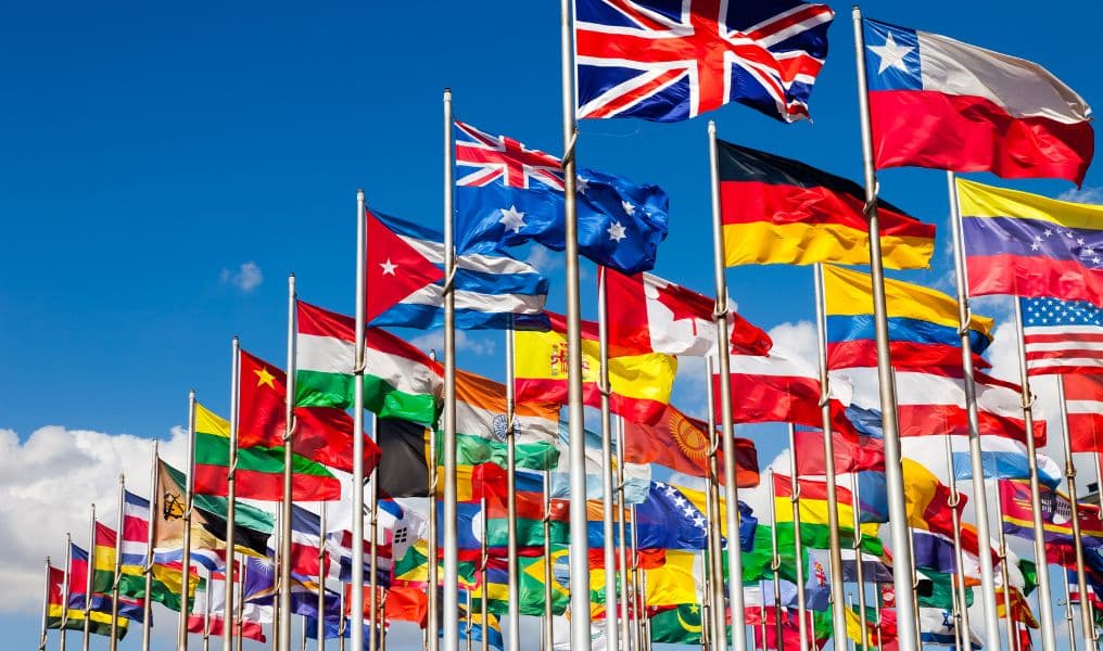 Consulting for International Businesses