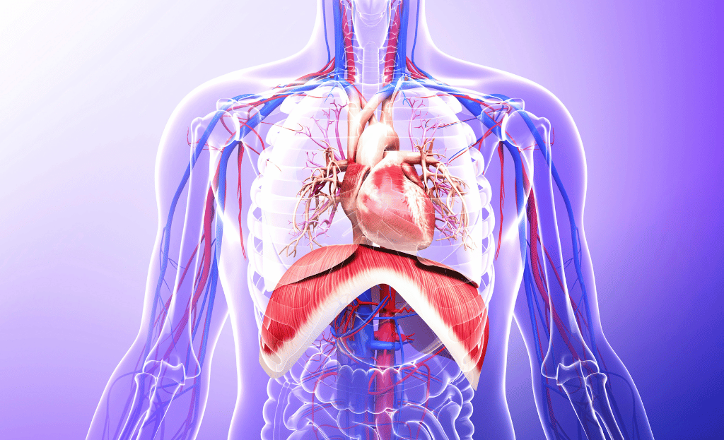 Medical Equipment Manufacturer